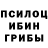 Псилоцибиновые грибы Magic Shrooms Alex Malke