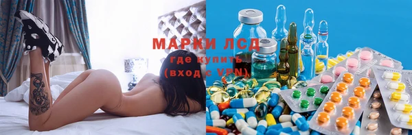 ПСИЛОЦИБИНОВЫЕ ГРИБЫ Алзамай