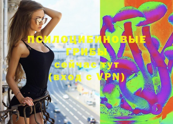 дурь Алексин