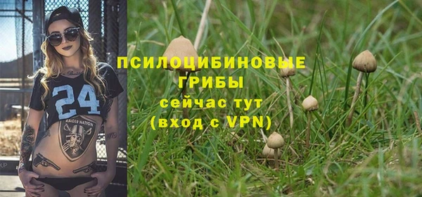 дурь Алексин