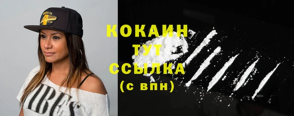индика Алапаевск