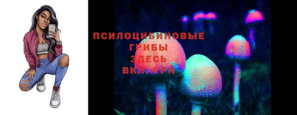 метадон Алексеевка