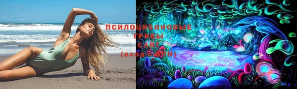 ПСИЛОЦИБИНОВЫЕ ГРИБЫ Алзамай