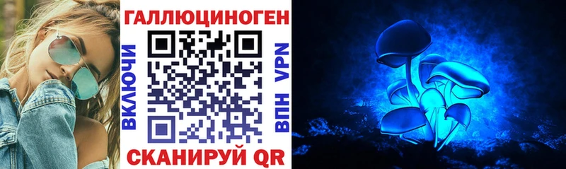 Псилоцибиновые грибы Cubensis  где продают   Вихоревка 