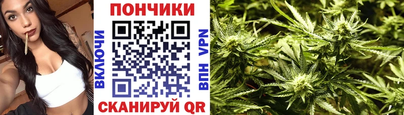 Бошки Шишки Ganja  Вихоревка 